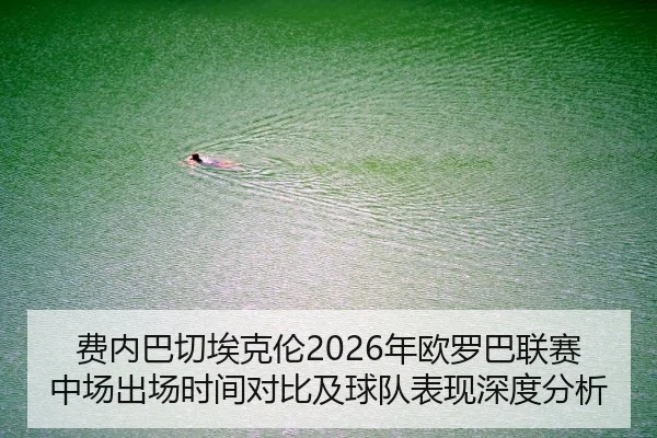 费内巴切埃克伦2026年欧罗巴联赛中场出场时间对比及球队表现深度分析